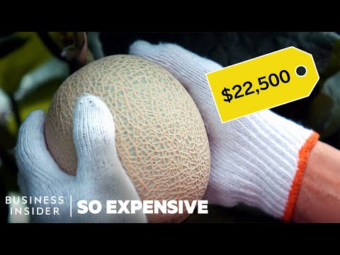 Thumbnail for Why Japanese Melons Are So Expensive | So Expensive