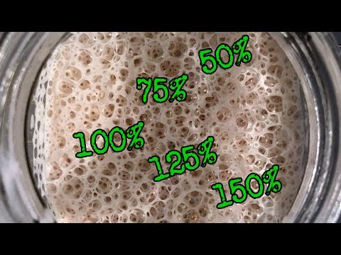 Thumbnail for Starter Hydration Timelapse | How hydration affects dough growth | Foodgeek