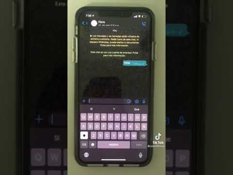 Thumbnail for 3 trucos de WhatsApp que No conocías