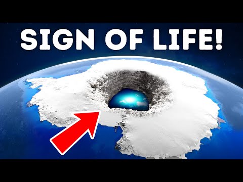 Thumbnail for They Found Something Unbelievable Under Antarctica's Ice