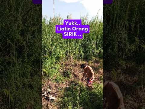 Thumbnail for LIATIN ORANG SIRIK #shorts #funnyvideo #katakatabijak