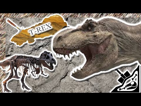 EL Rey de los dinosaurios: t rex (Animales Prehistóricos)