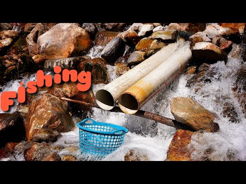 Fishing Technique / Balıkçılık Teknikleri / Derede Balık Avı