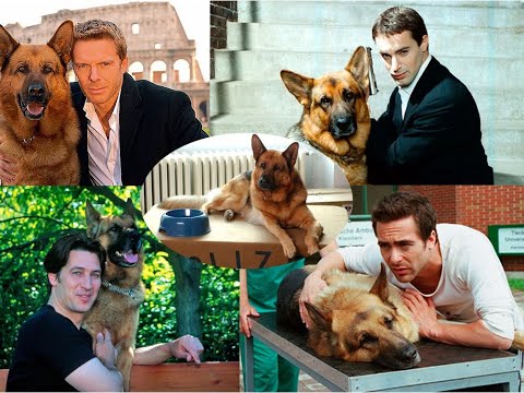 Thumbnail for Rex, un policía diferente Temporada 4 Capítulo 5 El nuevo