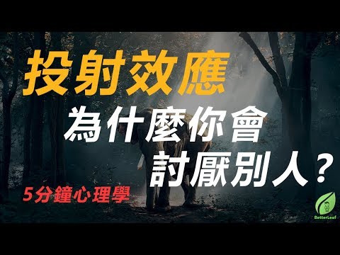 【好葉】投射效應：為什麼你會討厭別人 - 5分鐘心理學