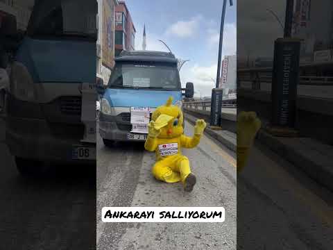 Thumbnail for Ankaralılar Yoruma (ABONE OL) #cityorganizasyon #youtube #halay #tiktok #youtubeshorts #eğlence