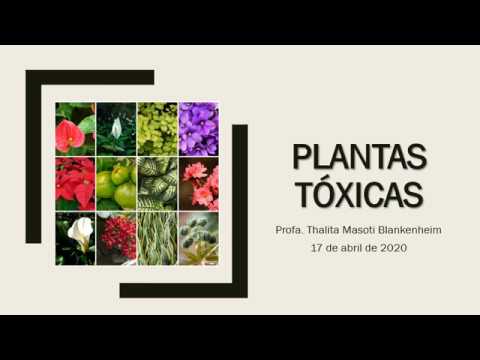 Toxicologia Veterinária - Plantas Tóxicas