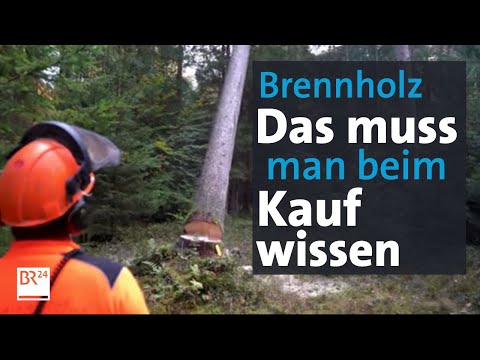 Die Maßeinheiten beim Brennholzkauf: Festmeter, Ster, Schüttraummeter | Abendschau | BR24