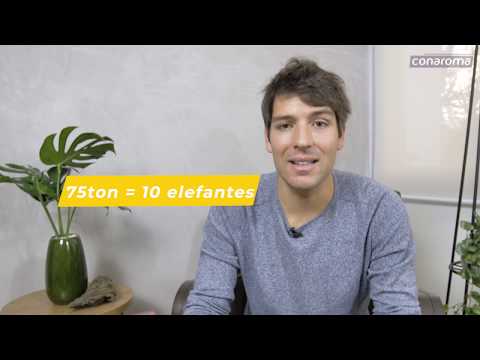 Óleo Essencial de Ylang Ylang: Afrodisíaco ou Sedativo?