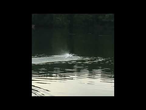 Boat videos I forgot about