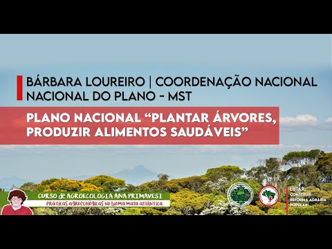 Thumbnail for Plano Nacional “Plantar árvores, produzir alimentos saudáveis” – Bárbara Loureiro