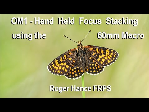 Hand Held Focus Stacking using the OM1 and the 60mm Macro