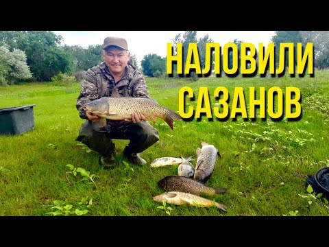 САЗАН КЛЮЁТ КАК ВОБЛА,ХОРОШИЙ ОТДЫХ В ХОРОШЕЙ КОМПАНИИ!СЕЗОН 2023 ОТКРЫТ!