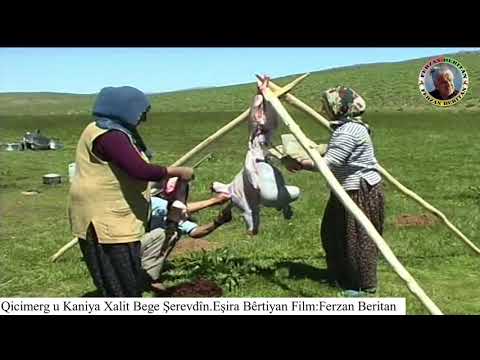 Malên Hec Eliyan û Beyrikan Mexelê Kaniya Xalit Begê û Qicimergê