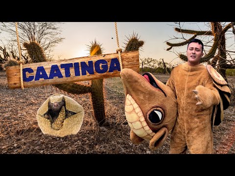Caatinga | Biomas do Brasil | Ep.6