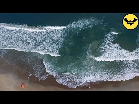 If You See This On The Beach, Run and Save Your Life.