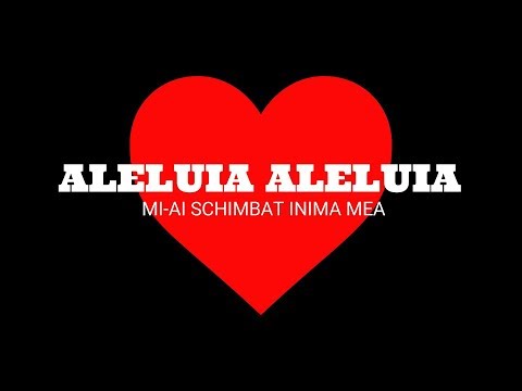 Mili din Barbulesti - Te iubesc din inima Isus - (Cover)