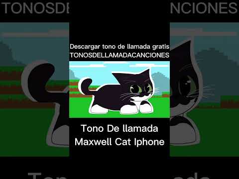 Thumbnail for Maxwell Cat Iphone tonos de llamada gratis #tonosdellamadacanciones #tonosdellamada #trending #fyp