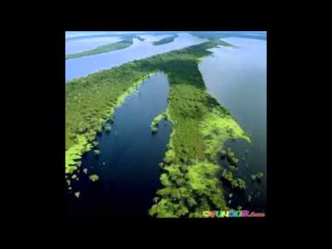 Thumbnail for CURA ME- ARMANDO FILHO