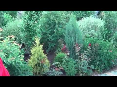 Плодовый Сад. Как Необычно Разместить Плодовый Сад. Вариант Личного Фруктового Сада