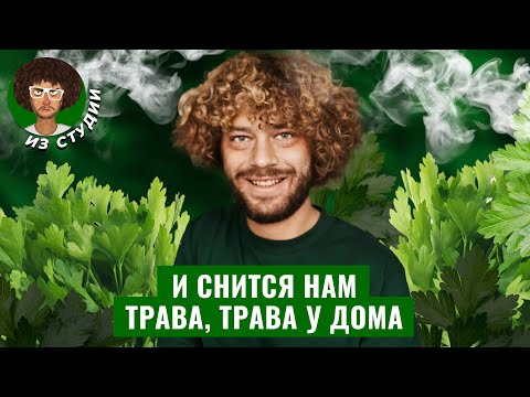 Thumbnail for Легалайз: как это работает от Амстердама до Украины | Рост ДТП, риск депрессии и продажа по рецепту