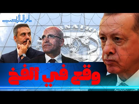 هل بدأ أردوغان اللعبة أم وقع في الفخ ؟ أسرار زيارة هاكان فيدان الإمارات
