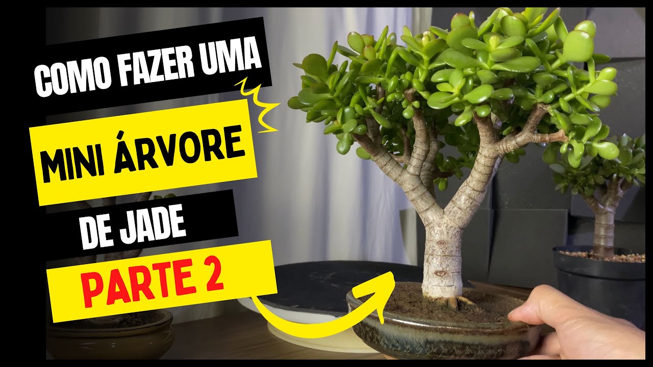 Thumbnail for Como fazer uma Mini Árvore com sua Suculenta Jade - Parte 2
