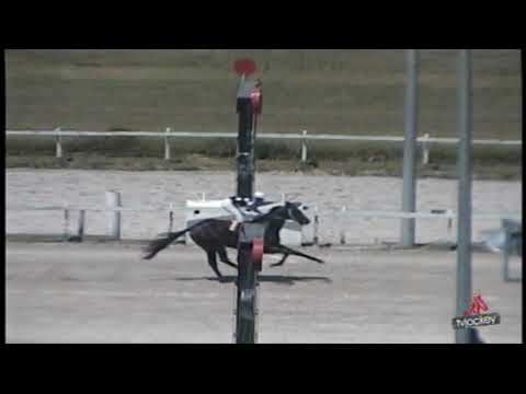 1ºp C JARDIM 22 01 2022