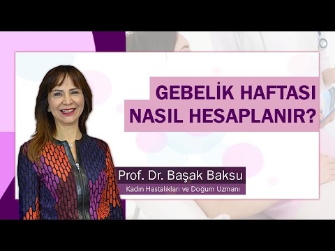 Thumbnail for Gebelik Haftası Nasıl Hesaplanır? Neye Göre Hesaplanır?