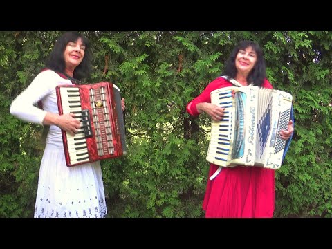 Thumbnail for Wiesia Dudkowiak  - Accordion Melody