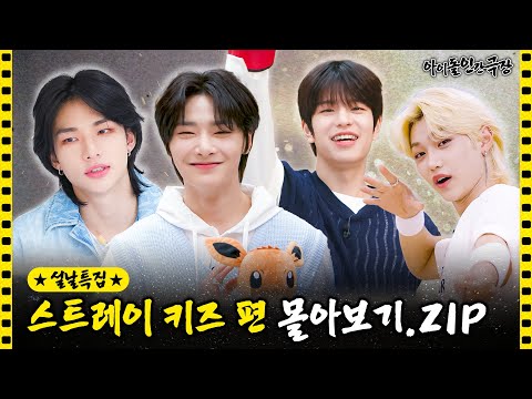 Thumbnail for [SUB] 아이돌 인간극장 스트레이 키즈 편 몰아보기????