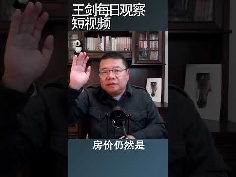 中国经济结构性问题到底是什么？/王剑每日观察 #shortsvideo