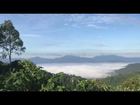 เที่ยวเขาพะเนินทุ่ง เพชรบุรี ชมทะเลหมอกล่องแก่งสุดมันส์