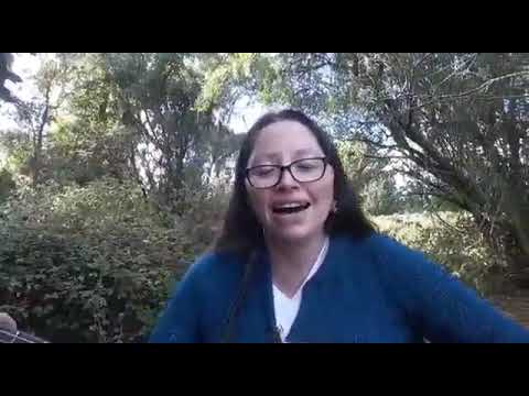 Thumbnail for ????¿Qué es lo que pasa?????????