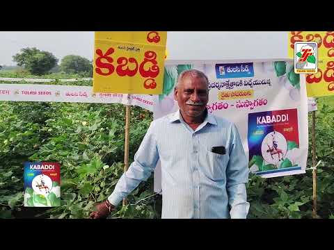 Thumbnail for Tulasi Kabaddi BG2 ✌✌✌ Best high yield cotton hybrid