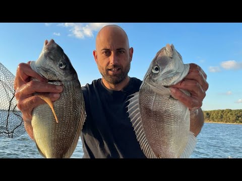 Thumbnail for Ποιο τεχνητό είναι το καλύτερο για μεγάλες τσιπούρες??