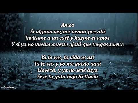 Rocio Durcal La gata bajo la lluvia Letra Cancion
