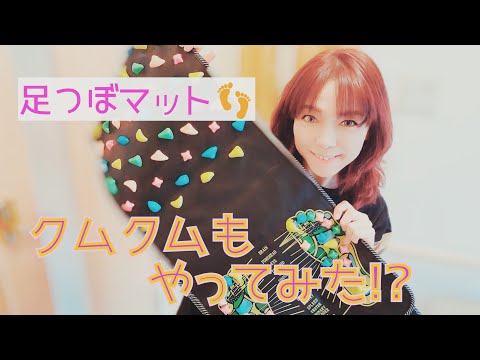 Thumbnail for 【愛犬】クムクムも足つぼマットやってみた！？【チワワ】