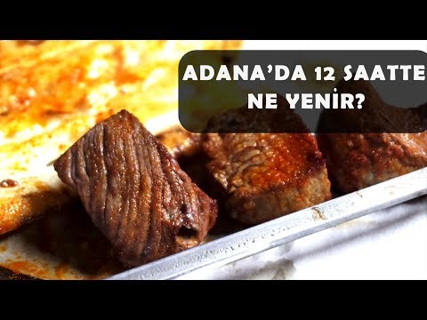 Thumbnail for Adana'da bir günde neler yiyebildik? Kebap, Kadayıf, Muzlu süt ve dahası. (Adana lezzet turu)
