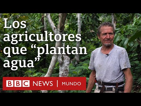 Thumbnail for Los agricultores que convirtieron un desierto en un bosque | BBC Mundo