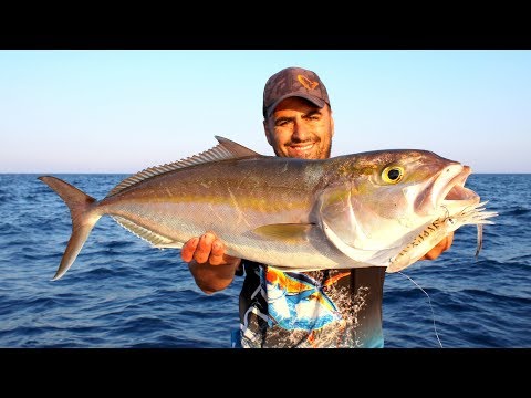 Silikon Kalamarla Kuzu Avı / Amberjack Fishing With Soft Squid Lure