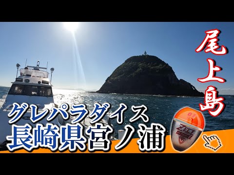 【九州遠征】釣ったグレの総重量15キロ以上!WFGプラクティスin宮ノ浦!