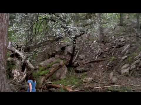 Thumbnail for The Yurt I Call Home