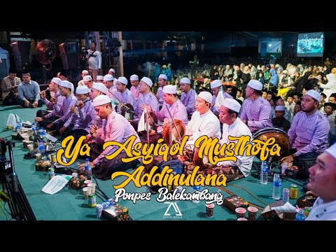 YA ASYIQOL MUSTHOFA &amp; ADDINULANA AZ ZAHIR || Ponpes Balekambang