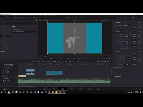 Thumbnail for Quick Tutorial - Make a looped video clip in Davinci Resolve