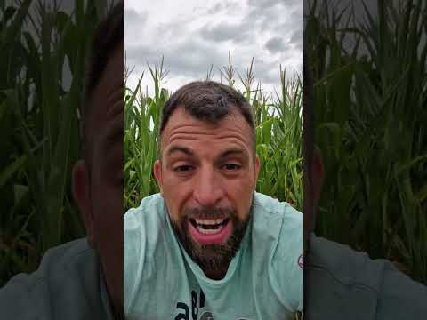 Liegt Hersh auch bei Selenskyj richtig?