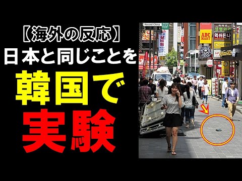 【海外の反応】「日本が異常なだけだった」日本のYoutube動画に触発されて、落とし物ドッキリを韓国でもやってみた結果…【世界のJAPAN】