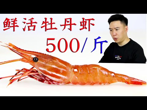 1050买2斤鲜活牡丹虾，吃一只就知道值了，其它虾都感觉弱爆了【小文哥吃吃吃】
