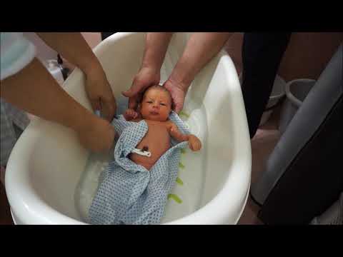 Thumbnail for первый раз входим в дом, первое купание, реакция кошки