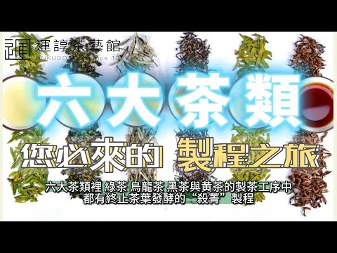 六大茶類|您必來的製程之旅